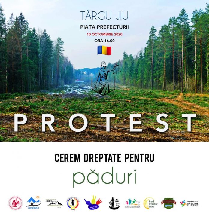 FB_IMG_1602237365243