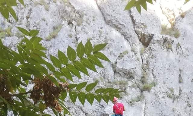 Foto: Acțiune de salvare speologică pe Cheile Sohodolului