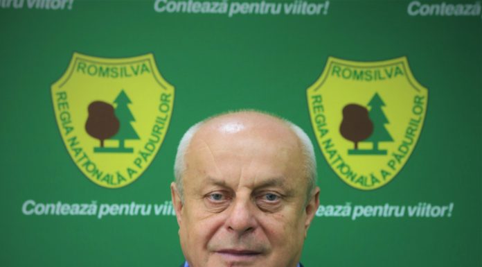 Un nou director general la Romsilva