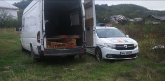 Tânăr din Mureș amendat și cu cheresteaua confiscată