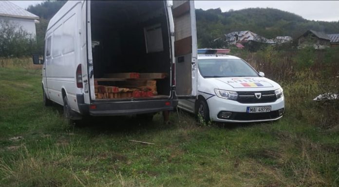 Tânăr din Mureș amendat și cu cheresteaua confiscată