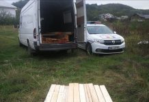 FOTO: Tânăr din Mureș, cercetat pentru transport ilegal de cherestea