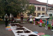 „PLANTĂM ȘI NATURA SALVĂM” – ACTIVITATE EXTRACURRICULARĂ DE PLANTARE DE BRĂDUȚI LA GRĂDINIȚA CU P. P. „MIHAI EMINESCU” Târgu-JIU