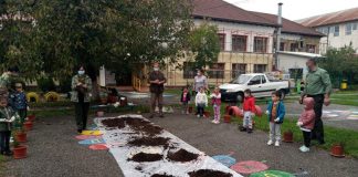 „PLANTĂM ȘI NATURA SALVĂM” – ACTIVITATE EXTRACURRICULARĂ DE PLANTARE DE BRĂDUȚI LA GRĂDINIȚA CU P. P. „MIHAI EMINESCU” Târgu-JIU
