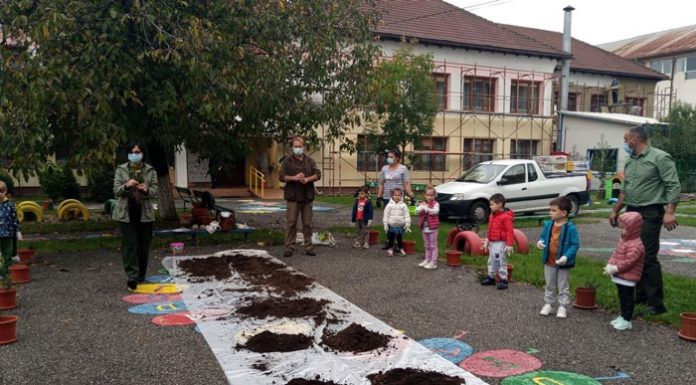 „PLANTĂM ȘI NATURA SALVĂM” – ACTIVITATE EXTRACURRICULARĂ DE PLANTARE DE BRĂDUȚI LA GRĂDINIȚA CU P. P. „MIHAI EMINESCU” Târgu-JIU