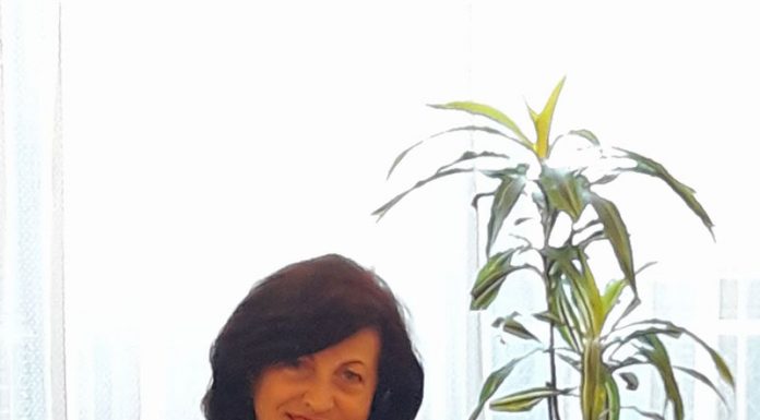 Deputatul Elvira Șarapatin: Scurt bilanț al activității politice și parlamentare pe perioada 2016-2020