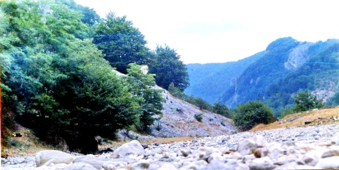 VCHEILE SUSITEI VERZI