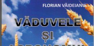 Scriitorul gorjean Florian Văideianu – lansează un nou roman: ,,Văduvele și Agronomul”