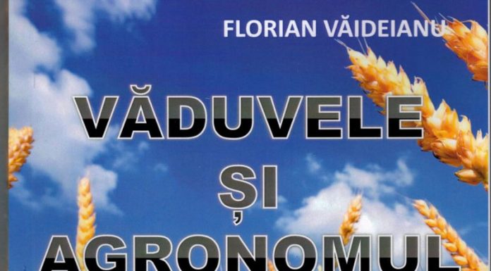 Scriitorul gorjean Florian Văideianu – lansează un nou roman: ,,Văduvele și Agronomul”