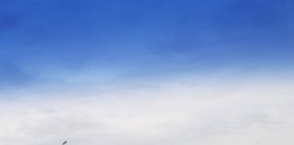 Bătrân rănit în accident la Târgu-Jiu