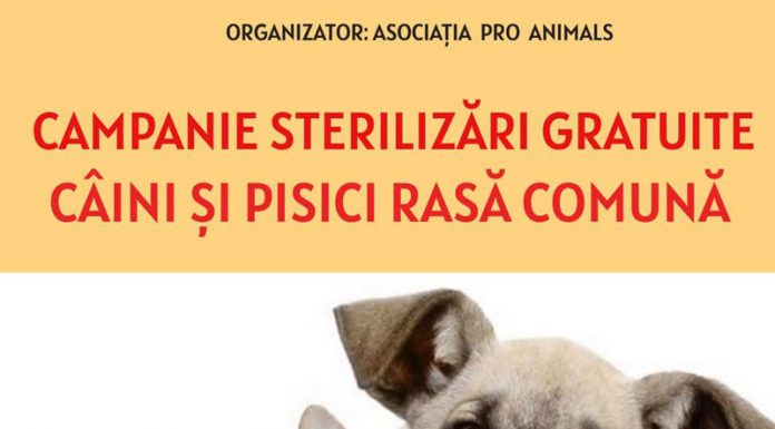 O nouă campanie de sterilizări gratuite a patrupedelor, la Târgu-Jiu