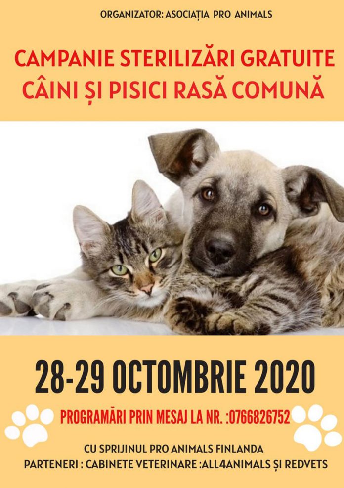 O nouă campanie de sterilizări gratuite a patrupedelor, la Târgu-Jiu