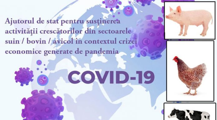 Trei gorjeni au solicitat sprijinul APIA în sectorul bovine