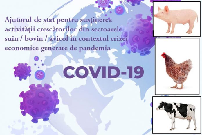 Trei gorjeni au solicitat sprijinul APIA în sectorul bovine