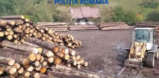 Percheziții în Gorj