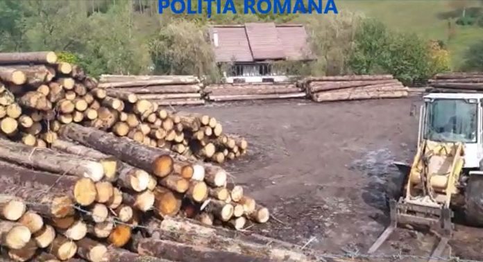 Percheziții în Gorj