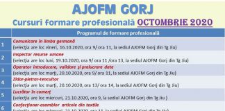 Opt cursuri de formare profesională, demarate de AJOFM Gorj