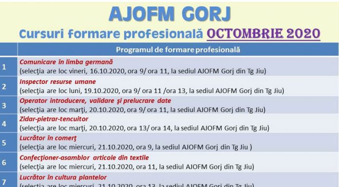 Opt cursuri de formare profesională, demarate de AJOFM Gorj