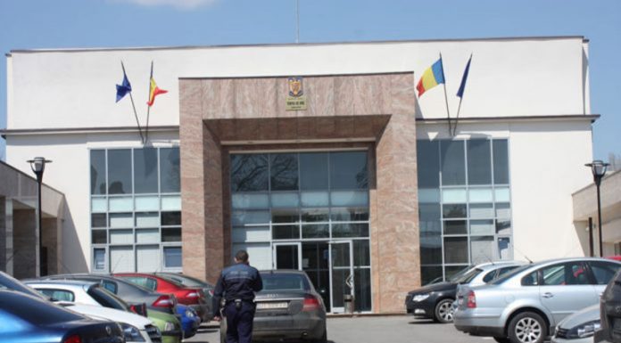 Pădurarii din „Mafia Lemnului” – arest la domiciliu pentru 30 de zile