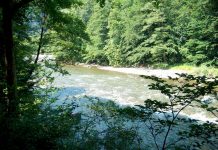 Defileul Jiului – un miracol al naturii