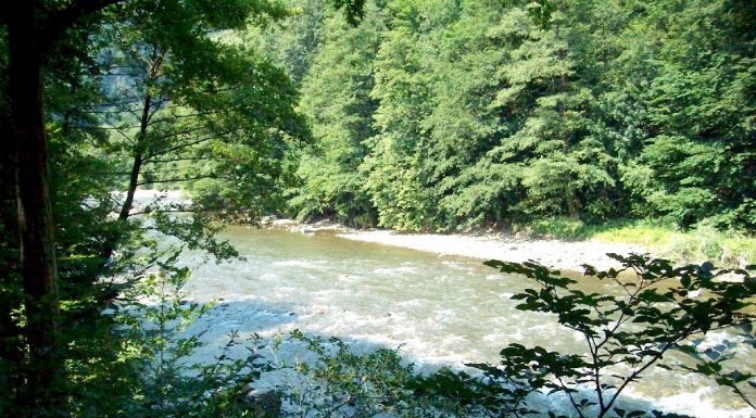 Defileul Jiului – un miracol al naturii