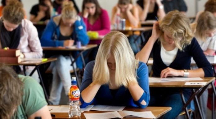 MEC: Disciplinele Istorie și Geografie nu se desființează sau comasează!