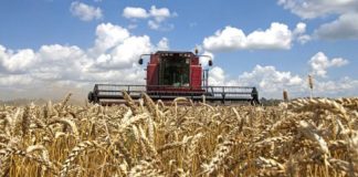 Agricultura pe înțelesul tuturor – Înființarea culturilor de toamnă