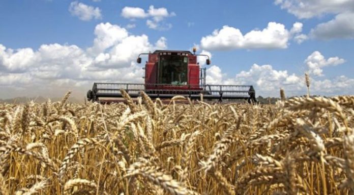 Agricultura pe înțelesul tuturor – Înființarea culturilor de toamnă