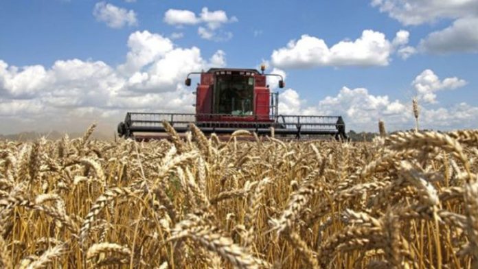 Agricultura pe înțelesul tuturor – Înființarea culturilor de toamnă