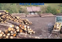 Percheziții în Gorj