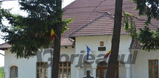 Gorjeni condamnați pentru furt de lemne