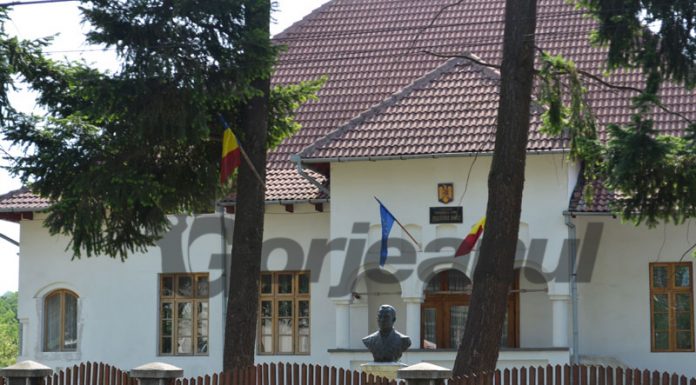 Gorjeni condamnați pentru furt de lemne