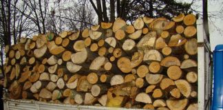 Cercetați pentru furt de lemne