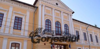 Post vacant la Muzeul Județean Gorj