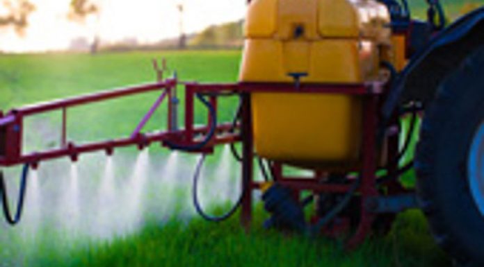 Agricultura pe înțelesul tuturor – Păstrarea și folosirea corectă a pesticidelor