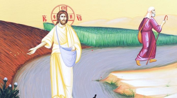 Lumina, şi Adevărul, şi Viaţa – Dumnezeu seamănă Cuvântul pe ogorul Său, deoarece ne propune jertfa inteligenţei care se înclină în faţa Înţelepciunii divine a împreunălucrării Sale şi a omului!