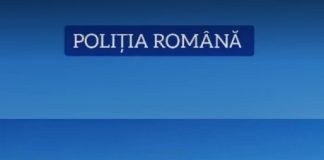 Firme amendate pentru nereguli silvice