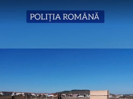 Firme amendate pentru nereguli silvice