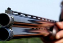 Cercetați după ce au fost prinși cu un mistreț împușcat în mașină