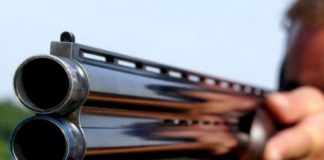 Cercetați după ce au fost prinși cu un mistreț împușcat în mașină