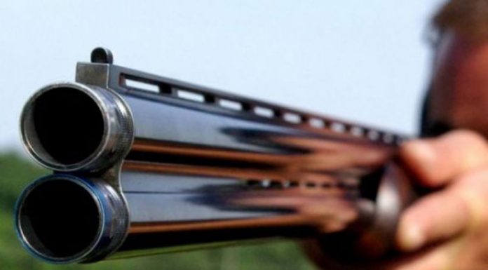 Cercetați după ce au fost prinși cu un mistreț împușcat în mașină