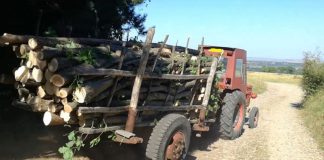 Bărbat de 71 de ani, cercetat pentru furt de lemne