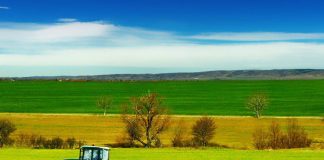 De mâine, APIA demarează plățile în avans!