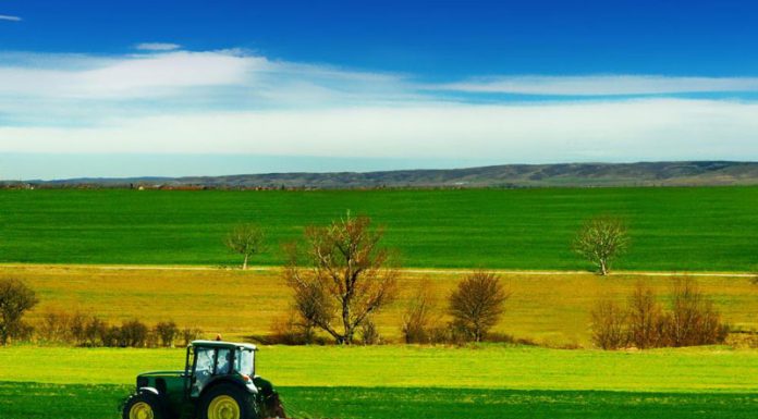 De mâine, APIA demarează plățile în avans!