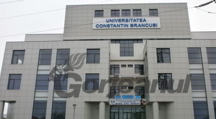 Proiect destinat profesorilor din cadrul UCB Târgu Jiu, finalizat cu succes
