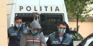 Pădurari din Tismana și Peștișani, încătușați de procurori!