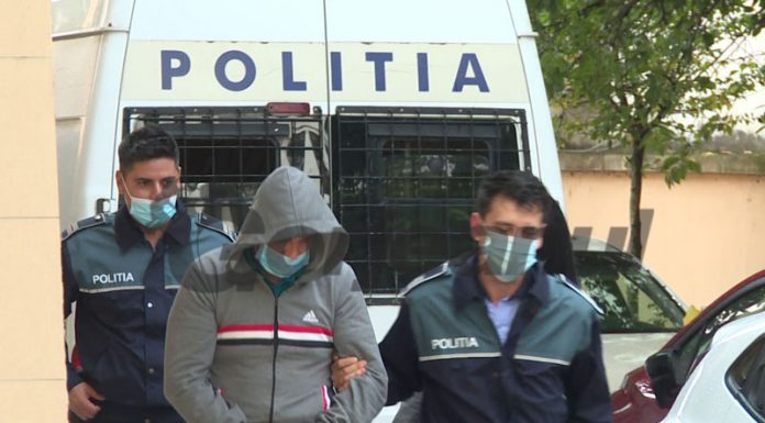 Pădurari din Tismana și Peștișani, încătușați de procurori!