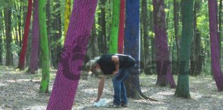 Mizerie și nesimțire în Pădurea Colorată! Maestrul Țopescu, nevoit să adune gunoaiele!
