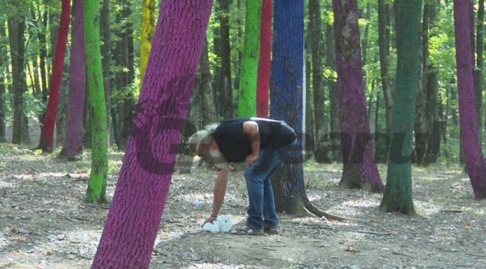 Mizerie și nesimțire în Pădurea Colorată! Maestrul Țopescu, nevoit să adune gunoaiele!