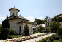 Interviu cu Preacuviosul Părinte Protosinghel Irineu, Preotul de altar al Mănăstirii «Sfânta Treime» de la Strâmba-Jiu, Turceni, Gorj – ,,Ne trebuie multă răbdare, înţelepciune şi bunăcuviinţă, ca să putem să trecem peste toate necazurile, care tot prin Voia Lui Dumnezeu, vin asupra noastră”!